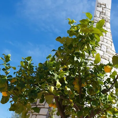 Bed & Breakfast La Pomelia